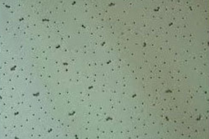 Armstrong Mineral Fiber Ceiling Tiles